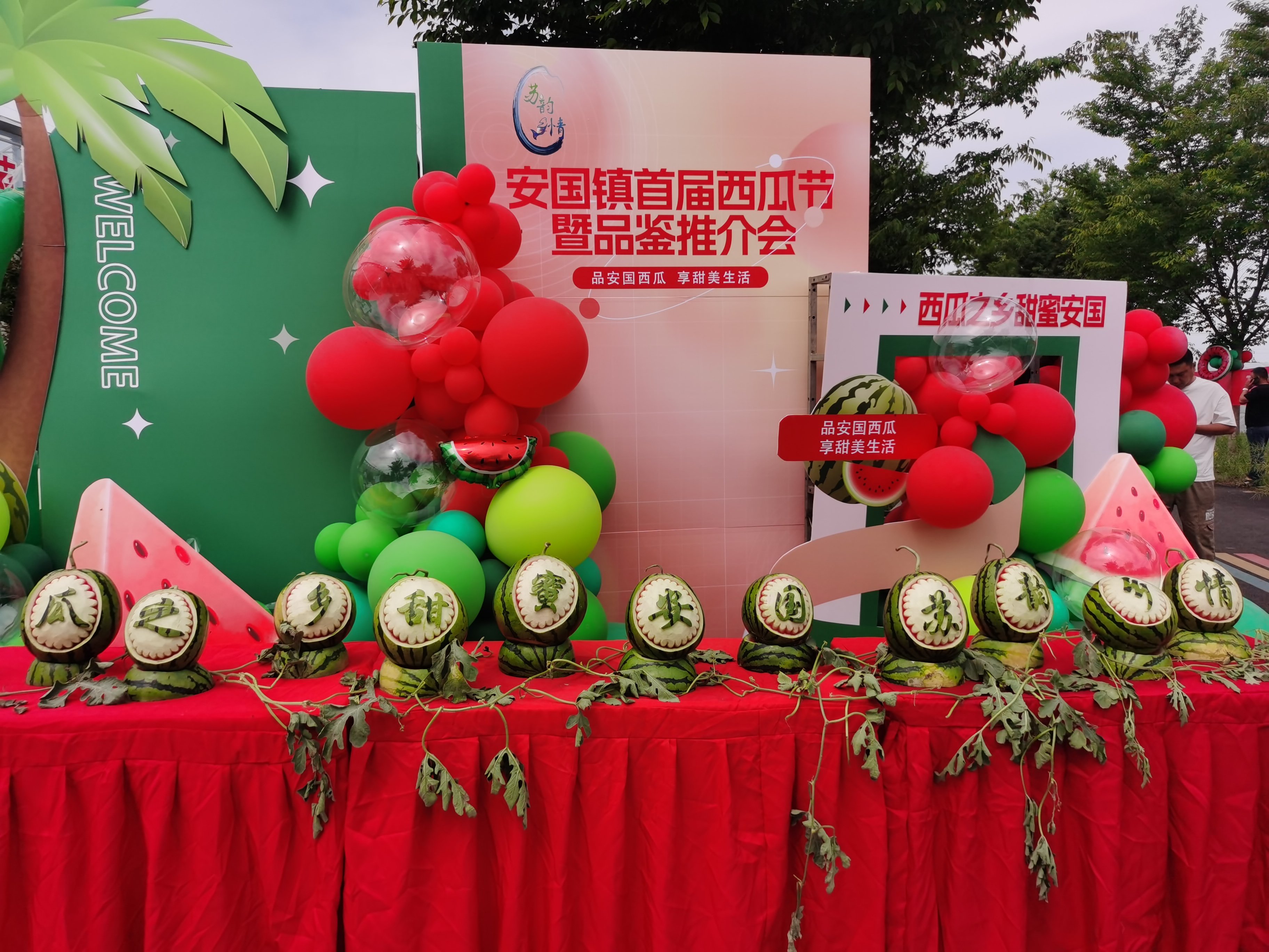 立夏的第一份“甜蜜礼物”，沛县安国镇首届西瓜节开幕