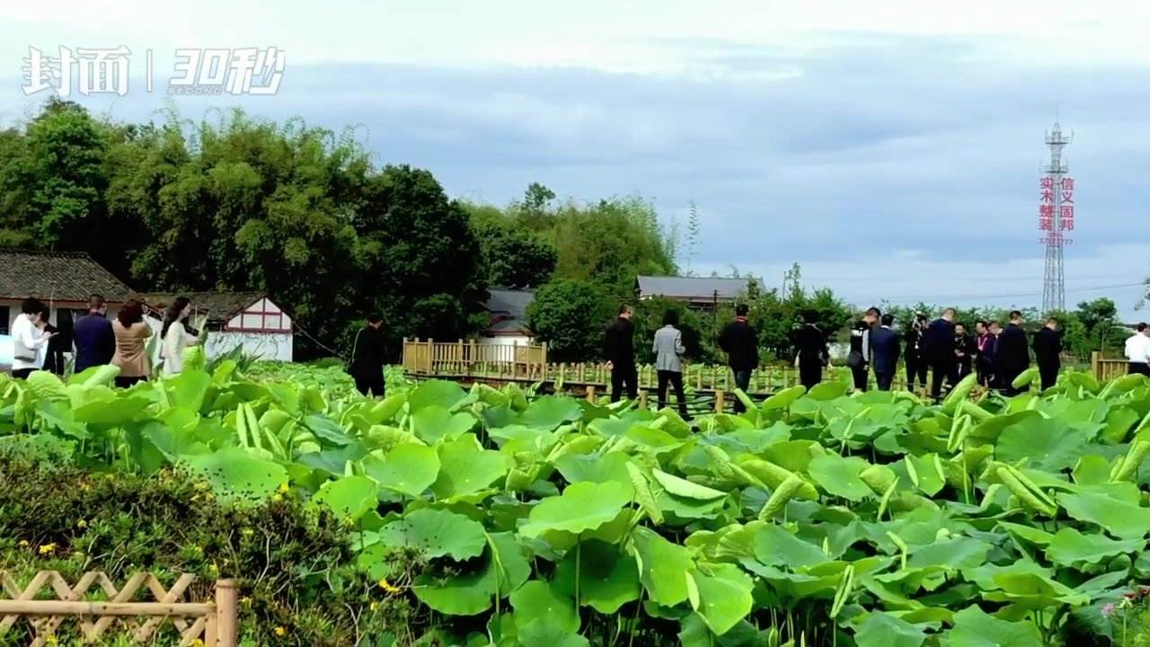 30秒 | 四川省第二届“510”廉洁文化宣传月活动眉山启动 与会嘉宾走进永丰村