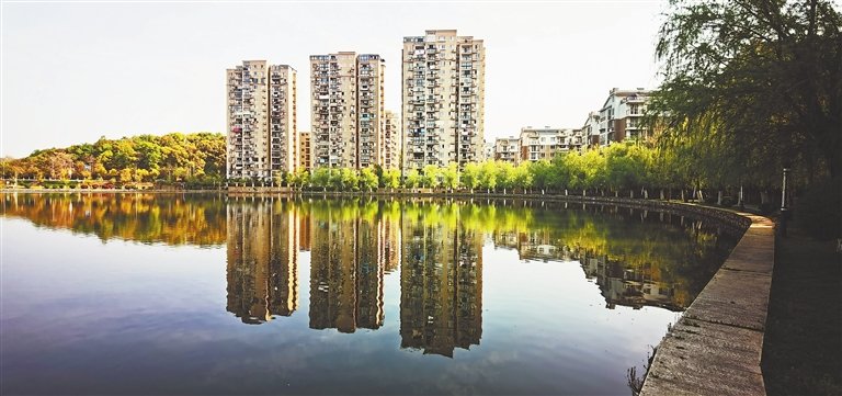 昔日臭水塘变成省级湿地公园。