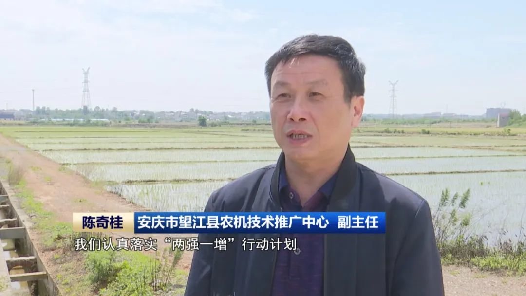 安庆市望江县农机技术推广中心 副主任 陈奇桂