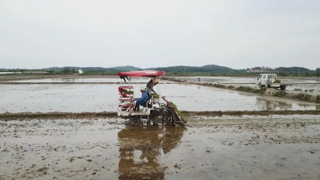 安徽:实施“两强一增” 确保粮食稳产丰收