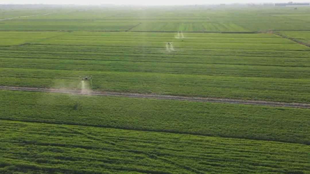 安徽:实施“两强一增” 确保粮食稳产丰收