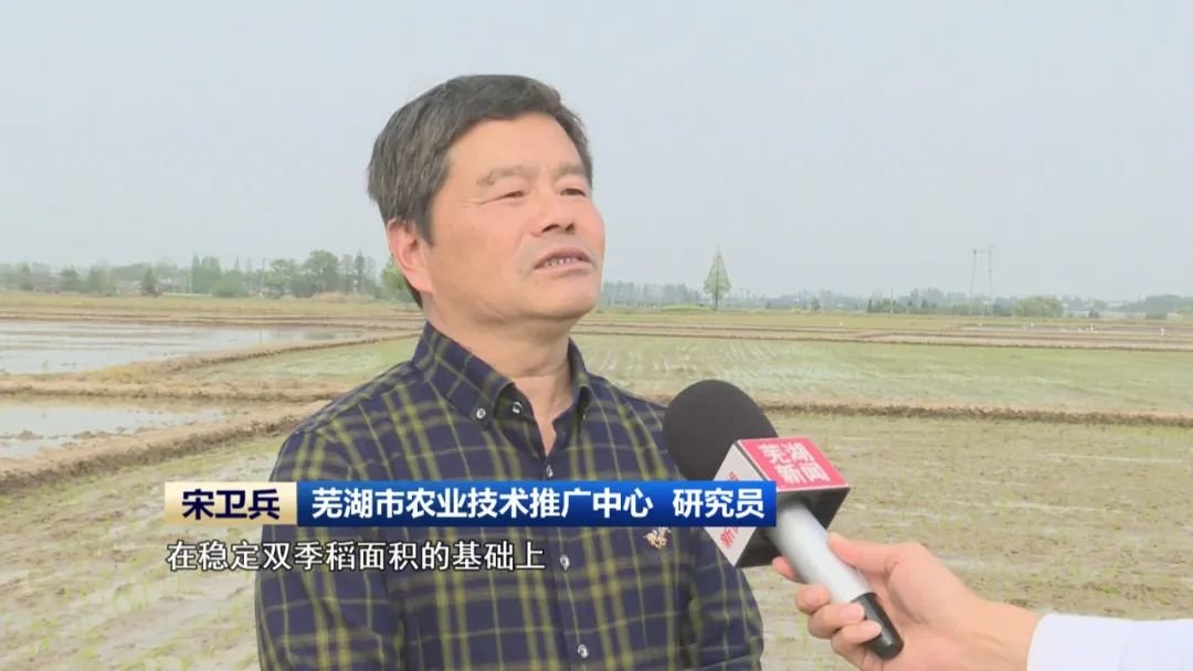 芜湖市农业技术推广中心 研究员 宋卫兵