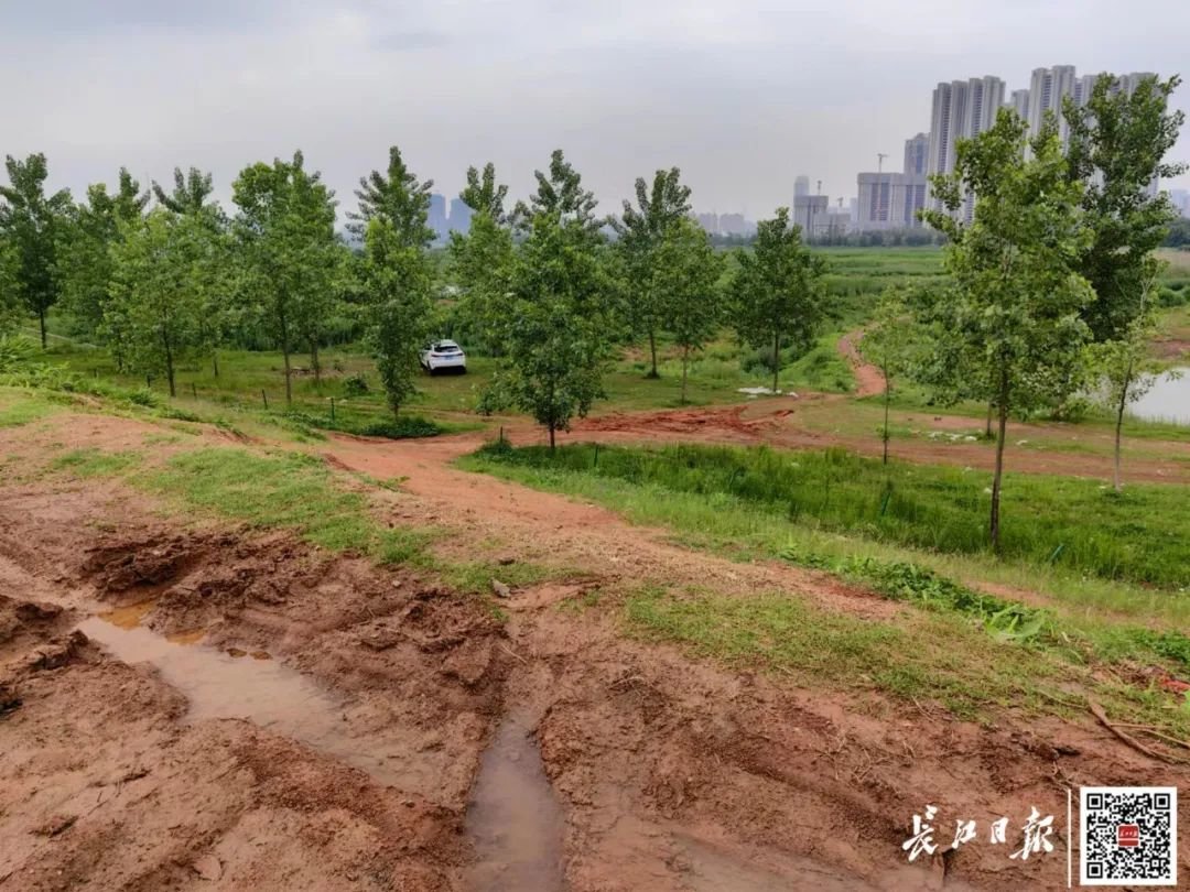 冲滩留下的车辙痕迹清晰可见。记者赵家新 摄