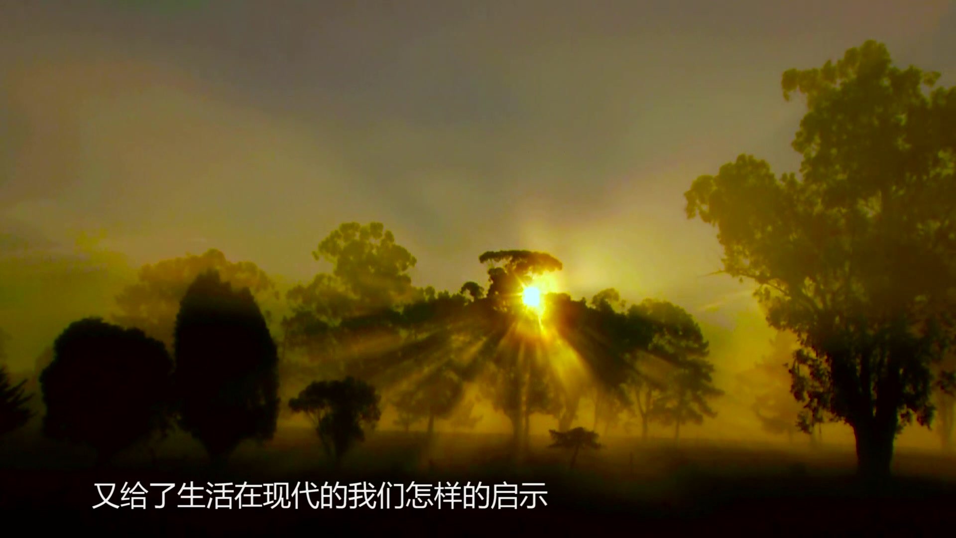 行走河南·读懂中国|文明之光_凤凰网视频_凤凰网