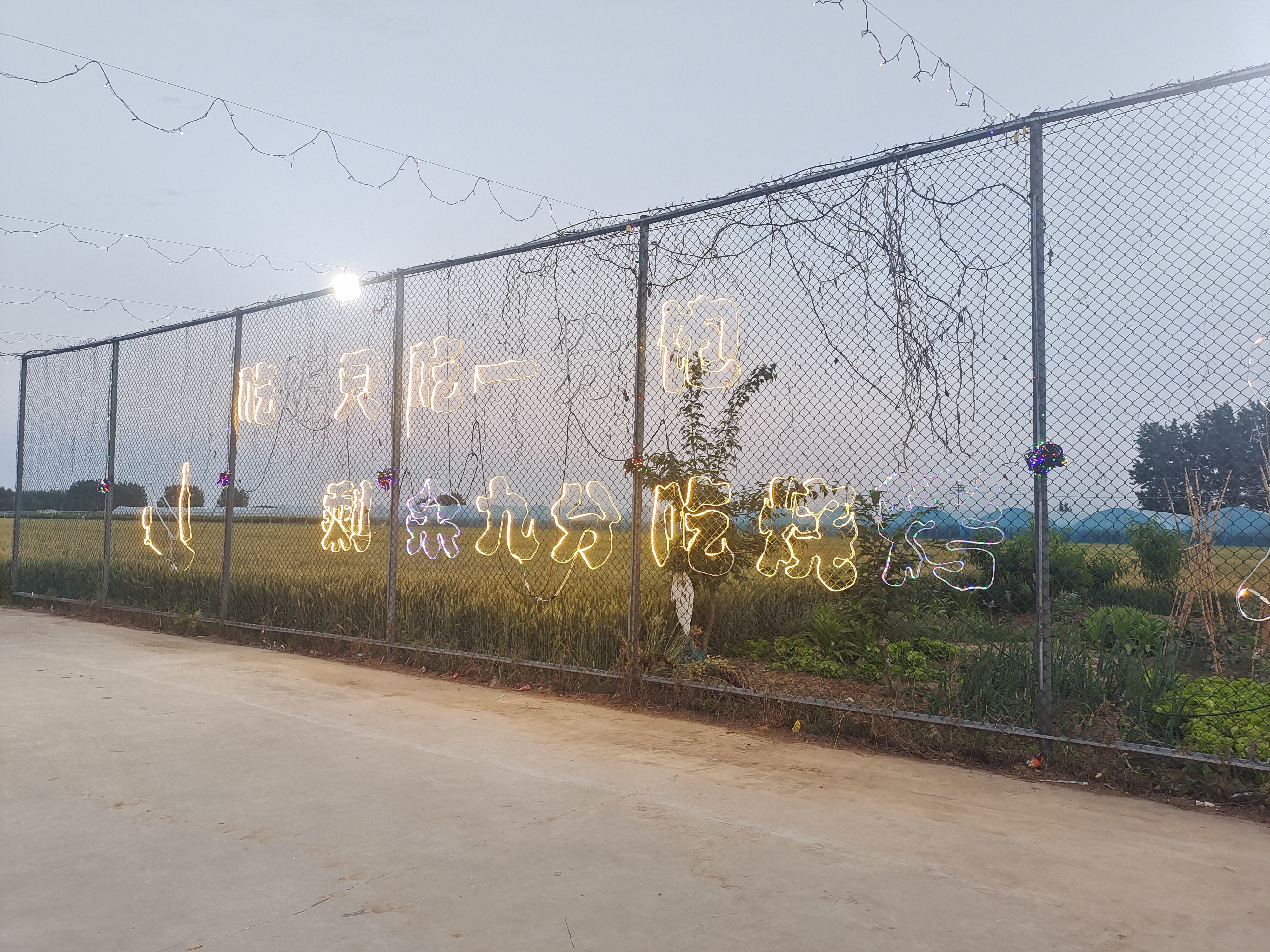 人间烟火气 最抚凡人心！驻马店魏庄村别样乡村烧烤点亮夜经济