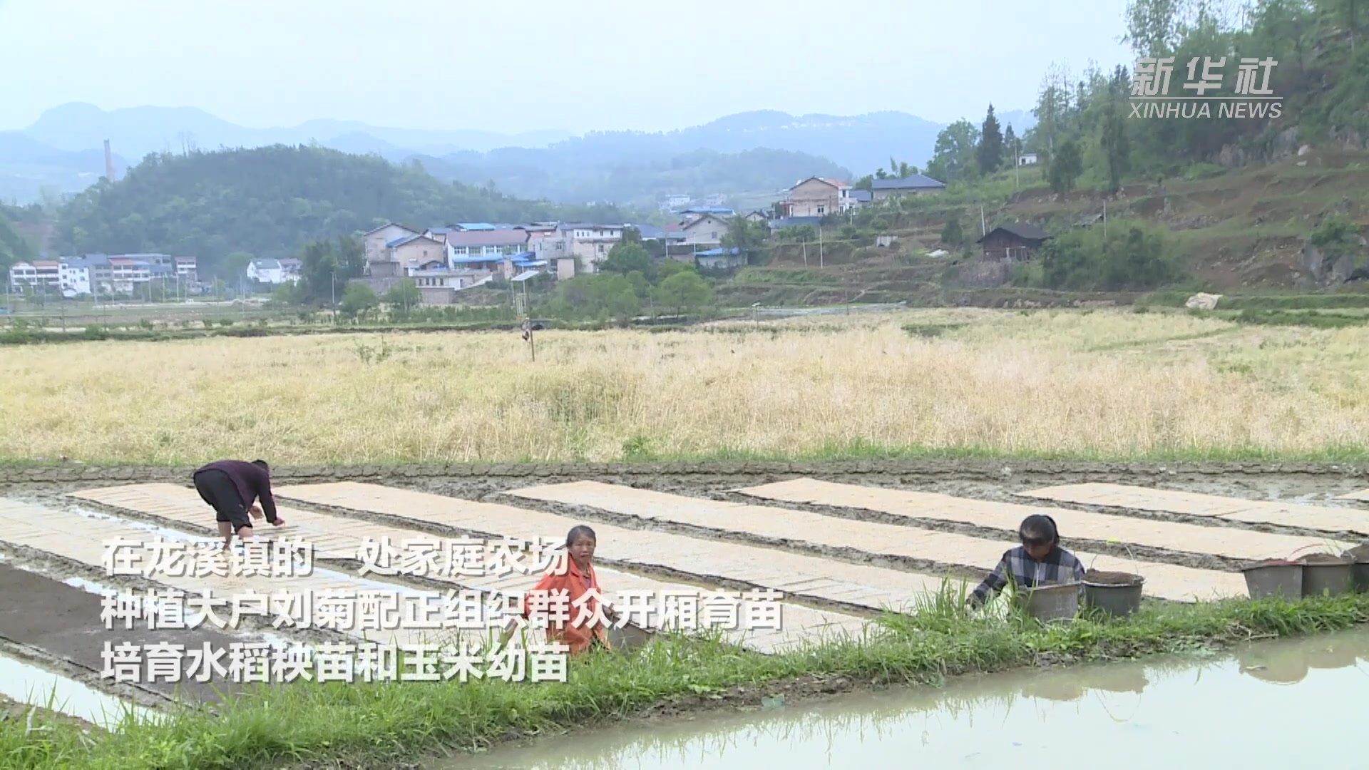 抢时间赶速度 贵州余庆开展生产自救减轻风雹灾害损失