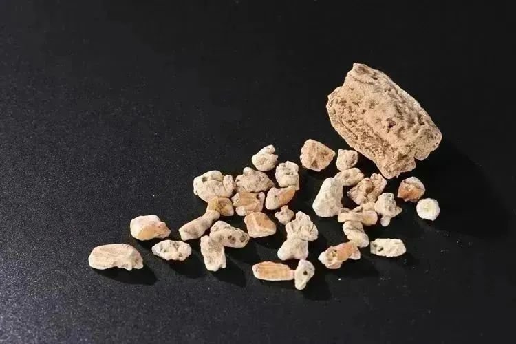 乳香 西汉南越国时期 1983年南越文王墓出土 南越王博物院藏