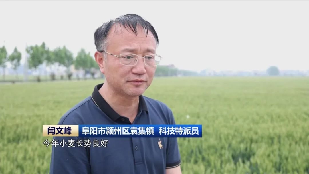 阜阳市颍州区袁集镇 科技特派员 闫文峰