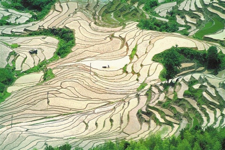 空中俯瞰春耕时的上堡梯田。