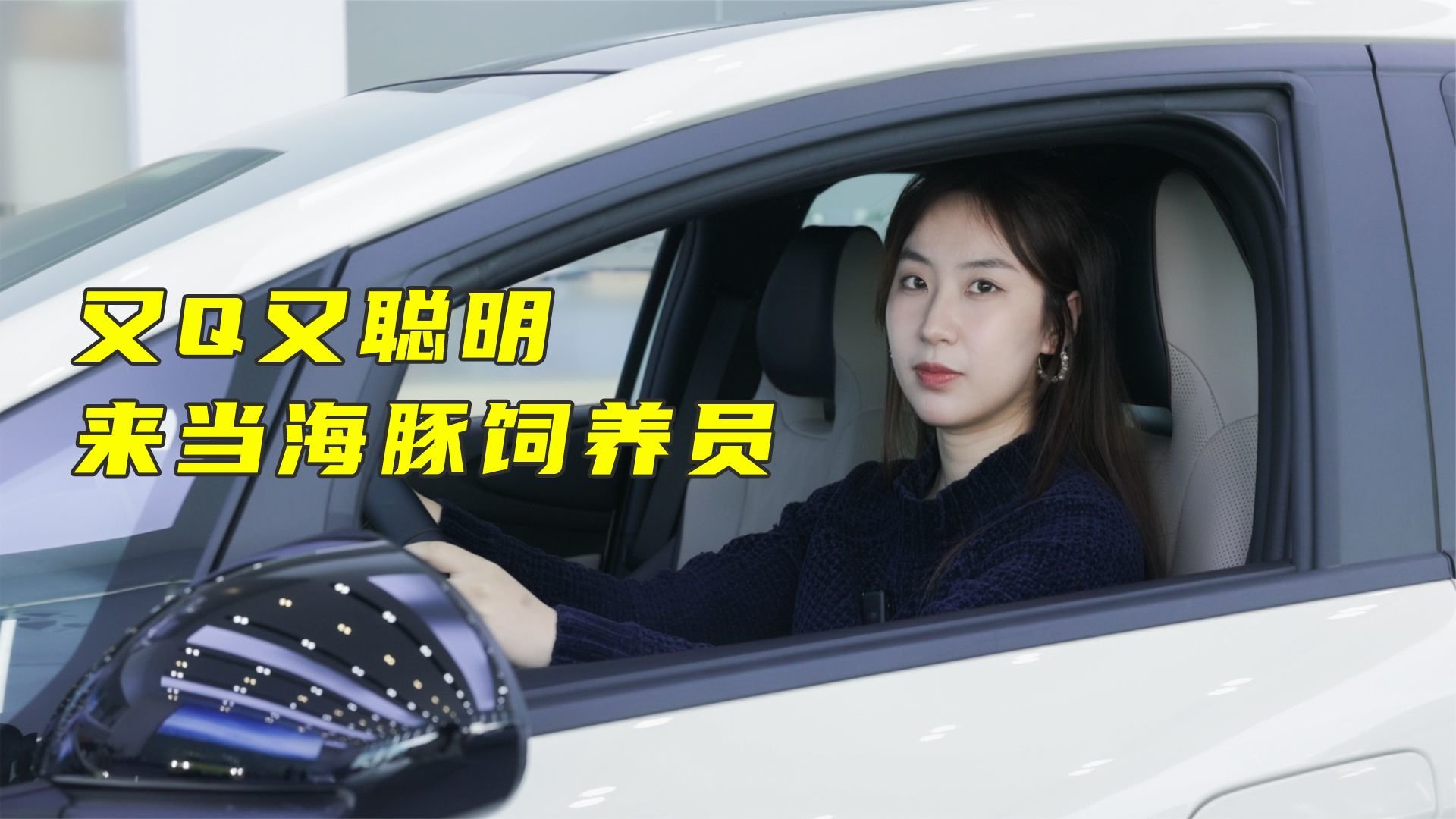 为什么比亚迪海豚这么多人买？除了Q萌，它究竟还有何魅力？
