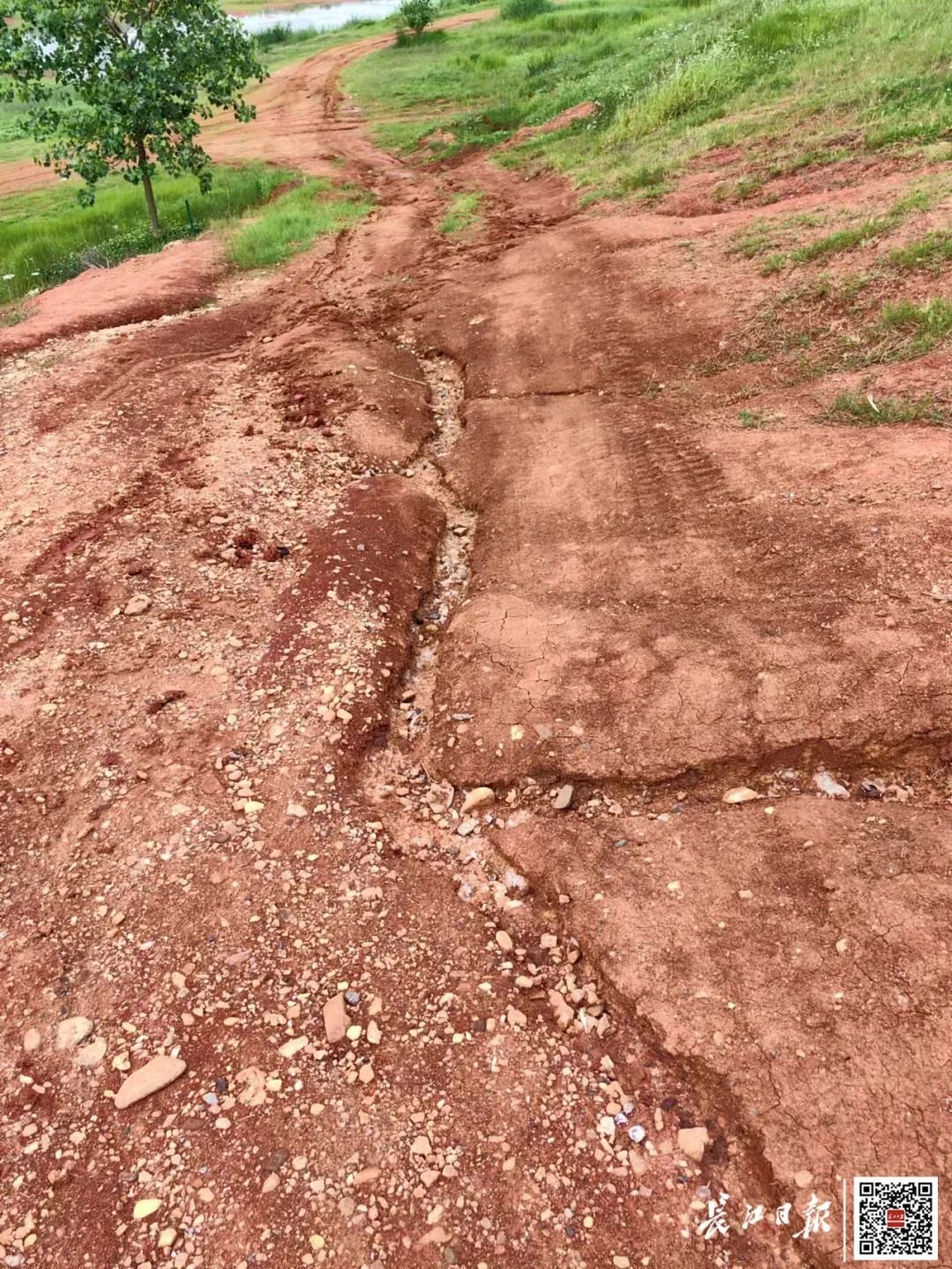 破损的堤岸。记者赵家新 摄