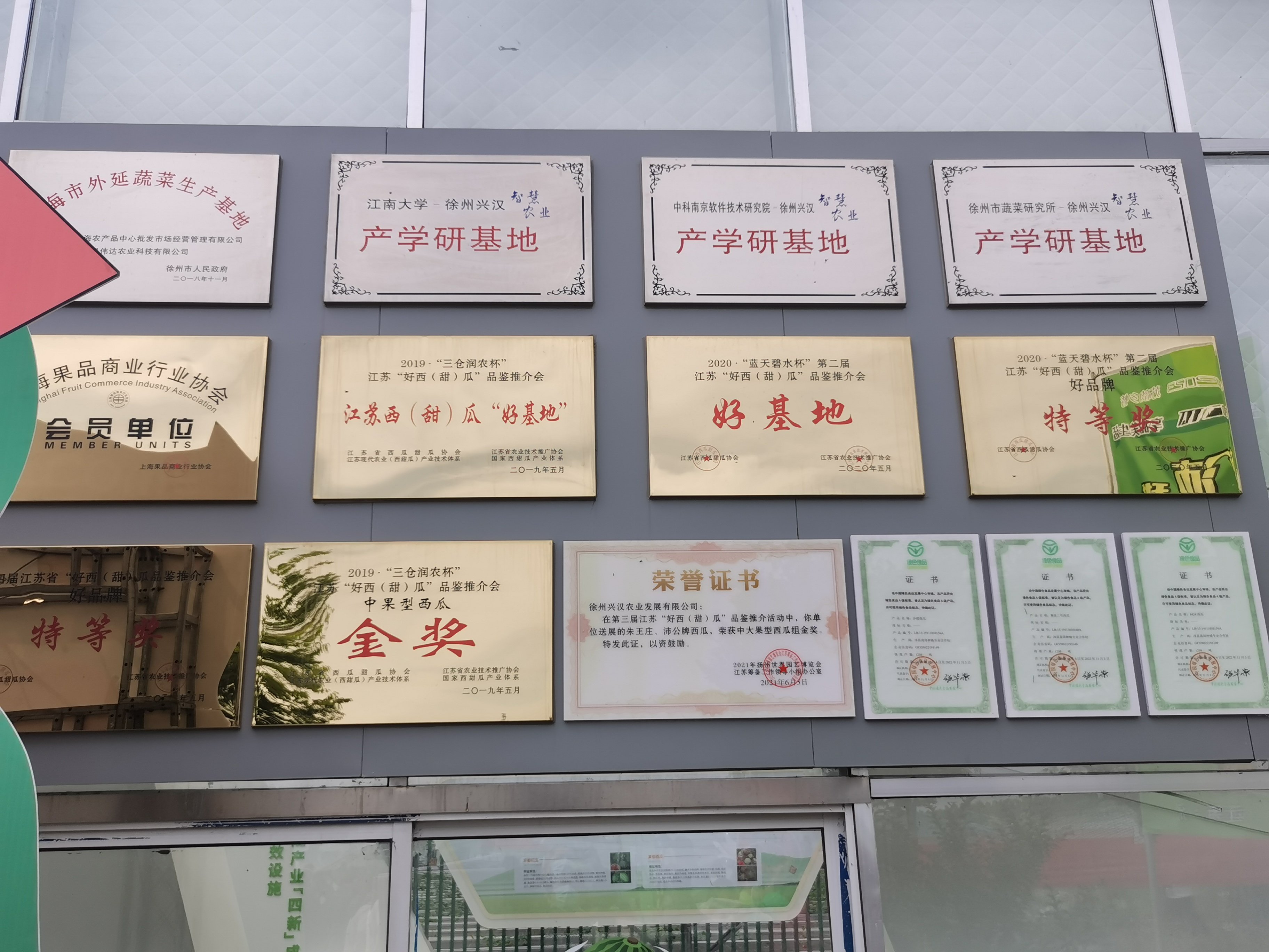 立夏的第一份“甜蜜礼物”，沛县安国镇首届西瓜节开幕