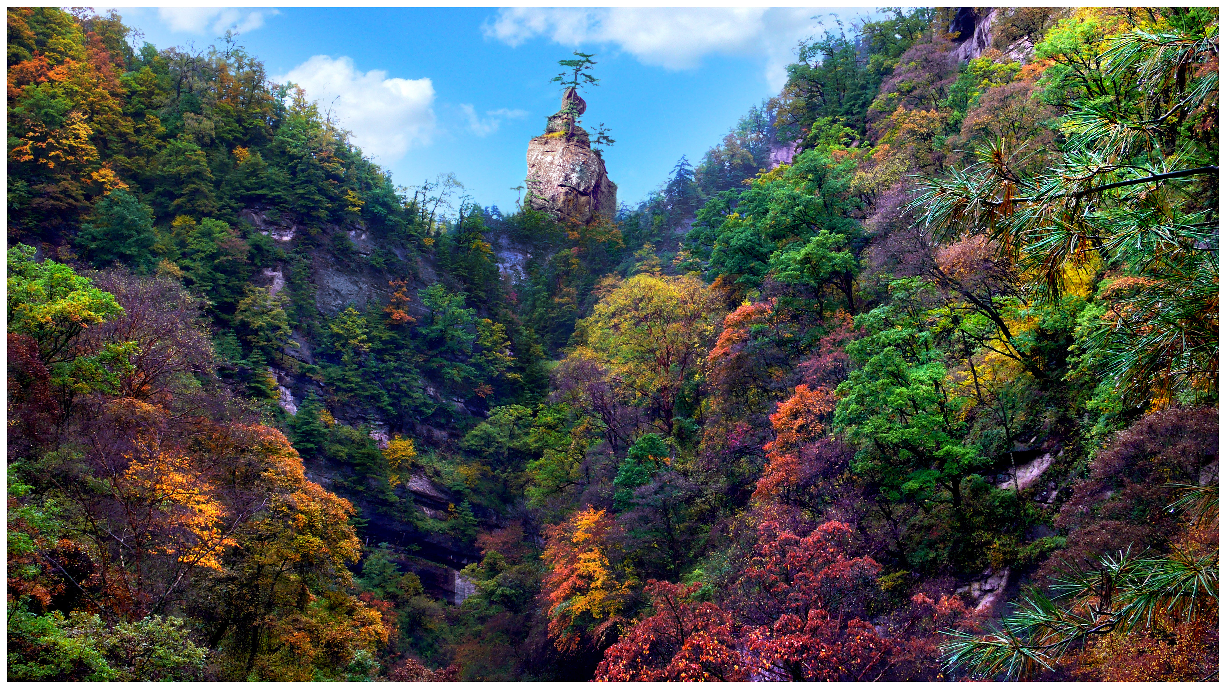 华亭游为啥这么火?“花式玩法”里藏着流量密码