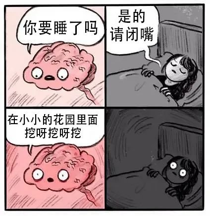 美丽陇南为山中珍禽、水上精灵提供了良好栖息环境