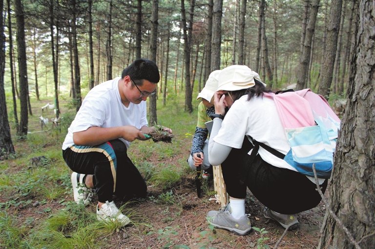 北京林业大学学生在“高校大学生实习实训临汾市吉县蔡家川基地”开展野外实验，采集标本
