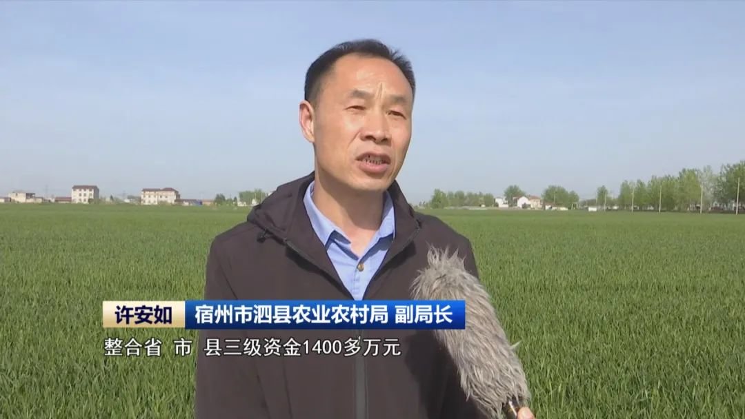 宿州市泗县农业农村局 副局长 许安如