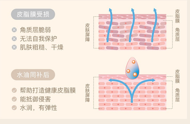 点击查看原始图片