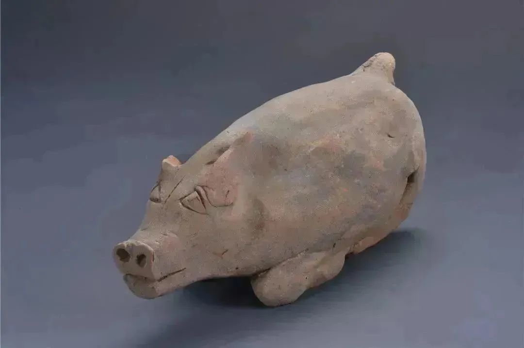 陶猪 2020年荔湾区广雅中学出土 广州市文物考古研究院藏