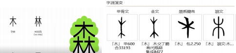 安静:在国际中文教学里体会汉字活力