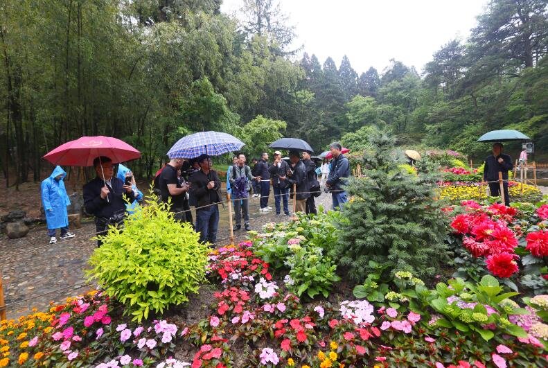 2023长江经济带主流媒体社长（总编）看九江暨“追浔季&middot;采风行”走进庐山