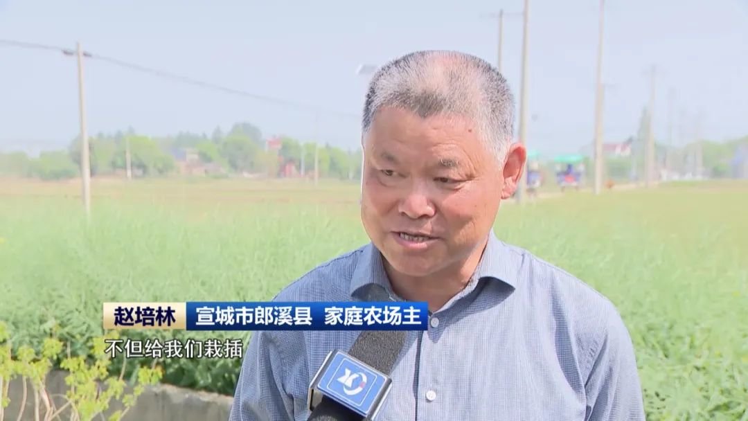 宣城市郎溪县 家庭农场主 赵培林