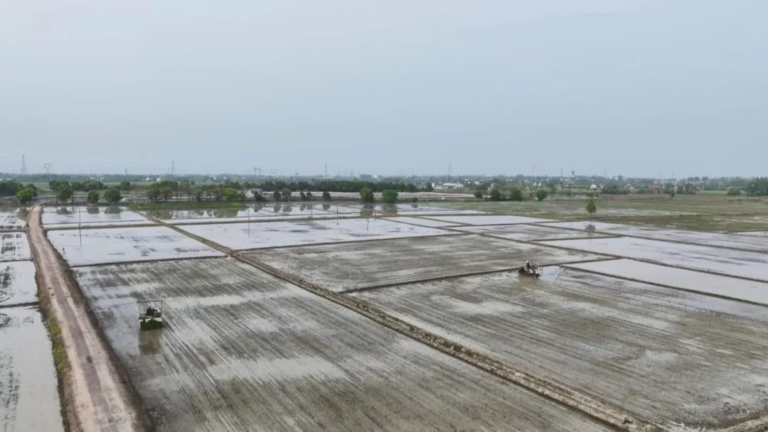 安徽:实施“两强一增” 确保粮食稳产丰收