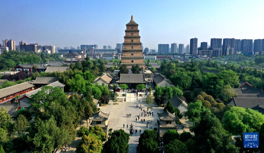 深度揭秘（西安市民介绍大雁塔视频）西安本地人介绍大雁塔，打卡古都西安的文化地标——大雁塔，普门品全文念诵及回向仪轨，
