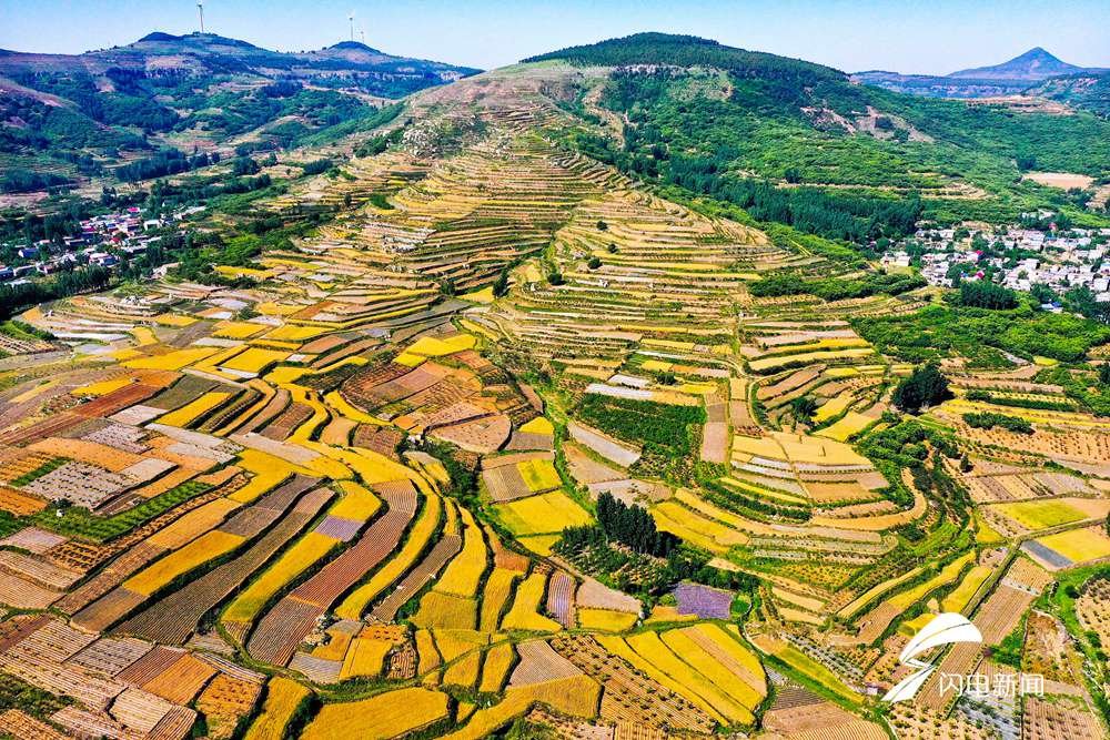 创新引领乡村可持续发展，为何选择枣庄？