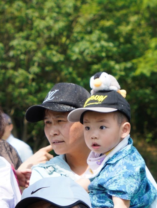 旗袍之美引得小朋友目不转睛。