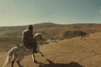 微电影丨《藏马》