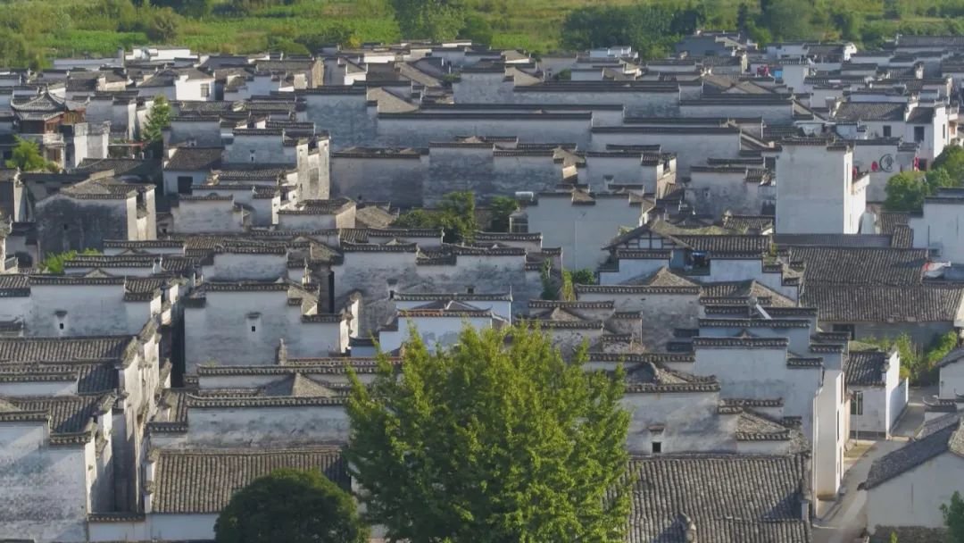 黄山：“五微行动”畅连和美乡村