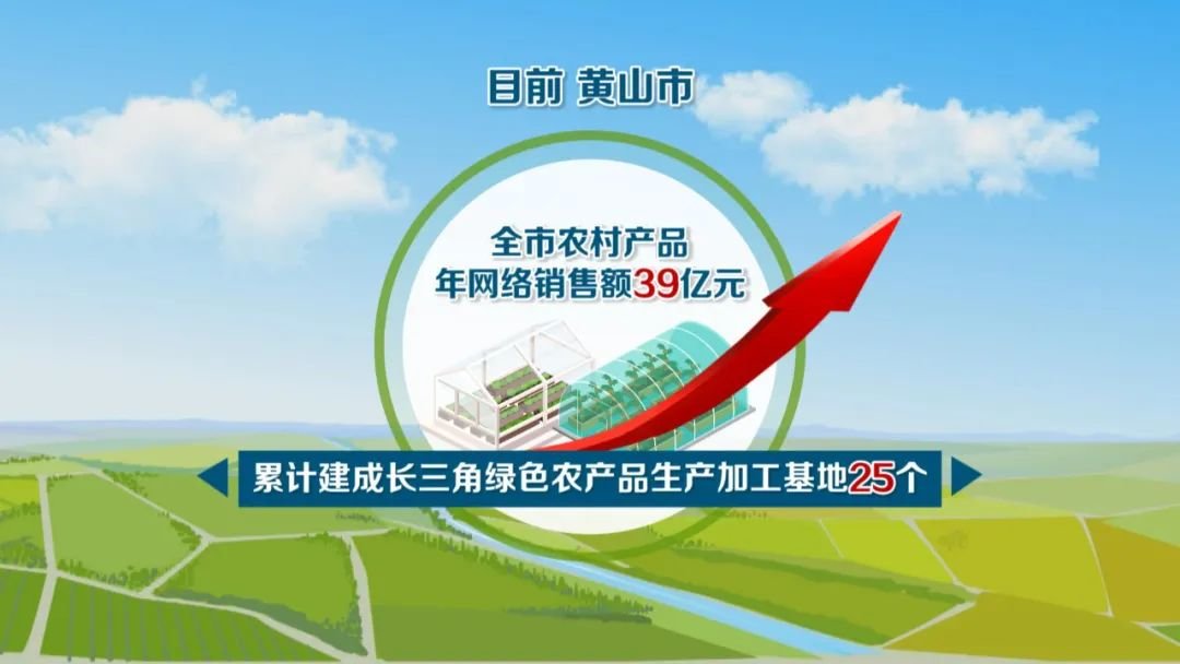 黄山：“五微行动”畅连和美乡村