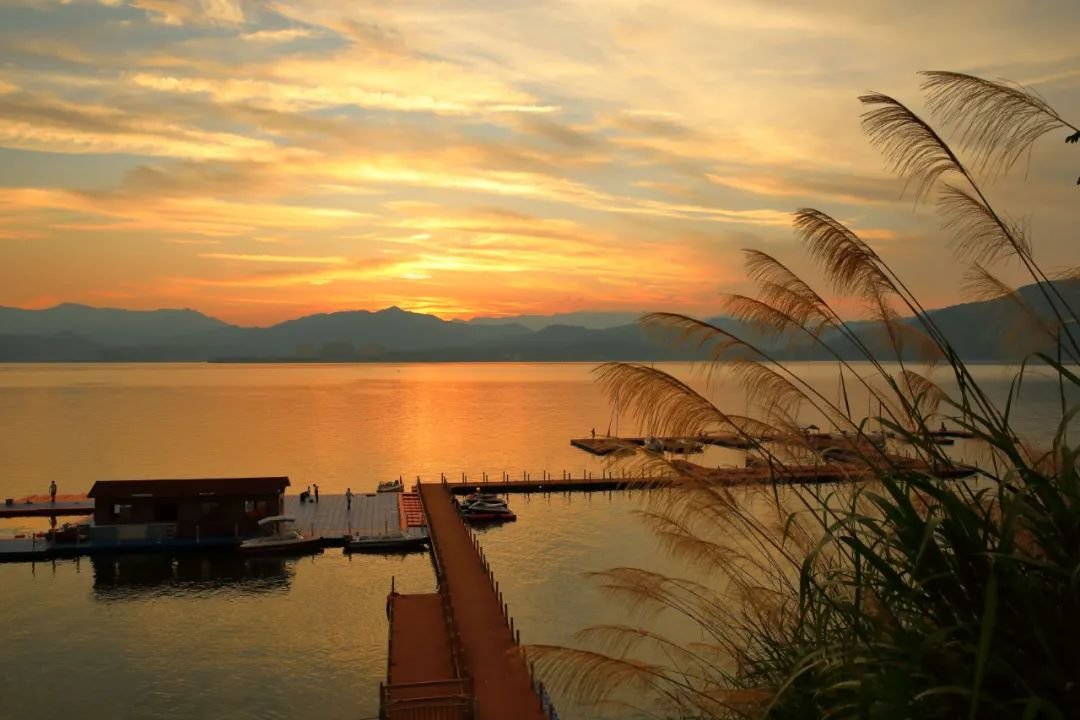 太平湖 凤凰网安徽特约摄影师 吴祚祥 /摄