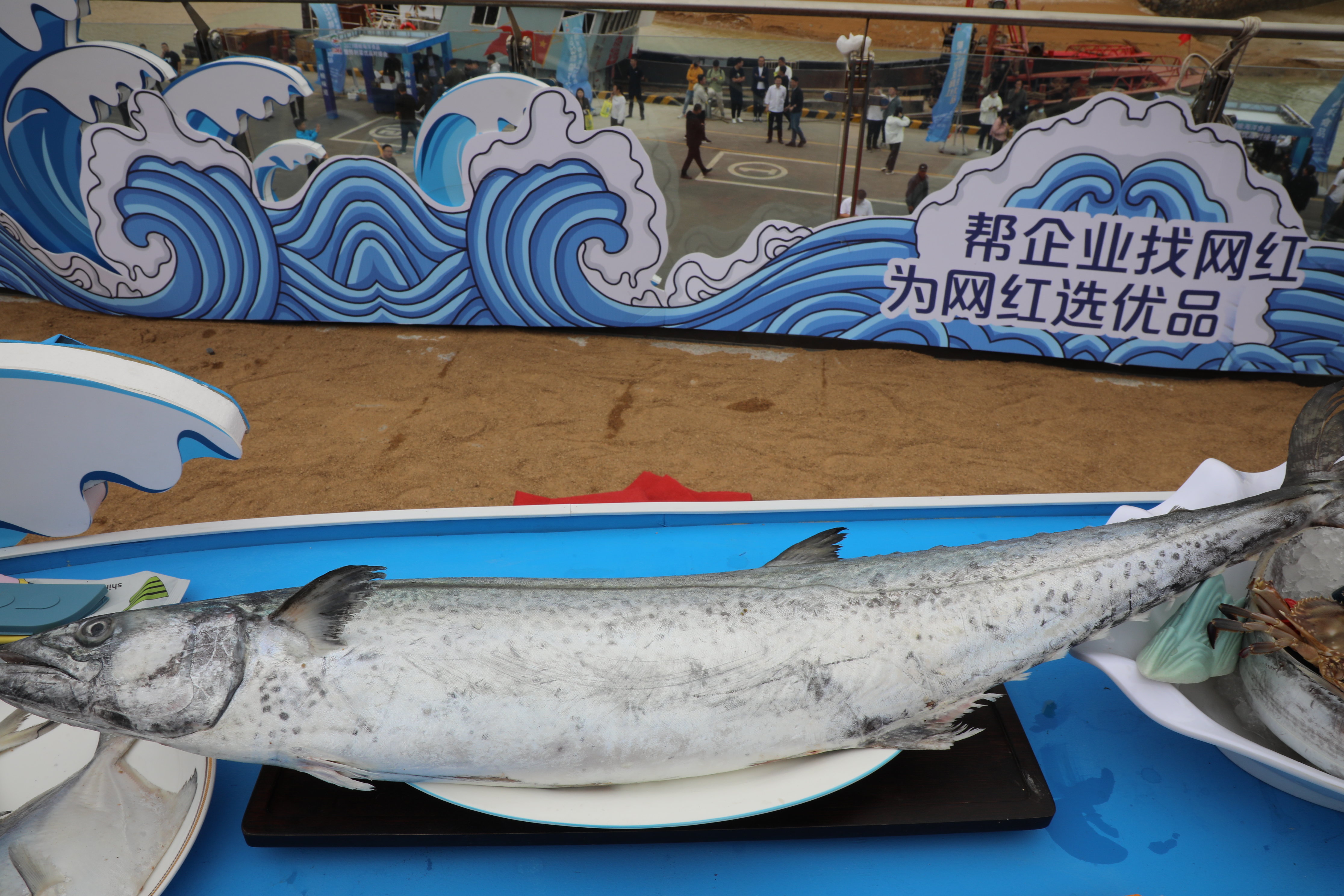 赣榆：“海阔凭榆跃 e网任你鲜”