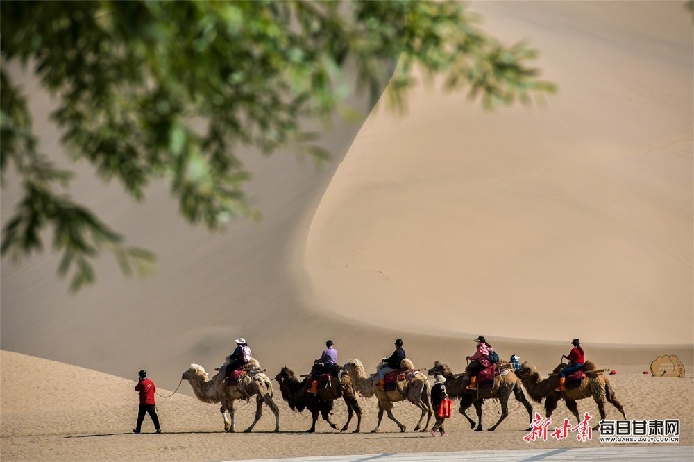 2023年5月14日，游客骑骆驼畅游鸣沙山，观赏敦煌夏日大漠风光。03.jpg