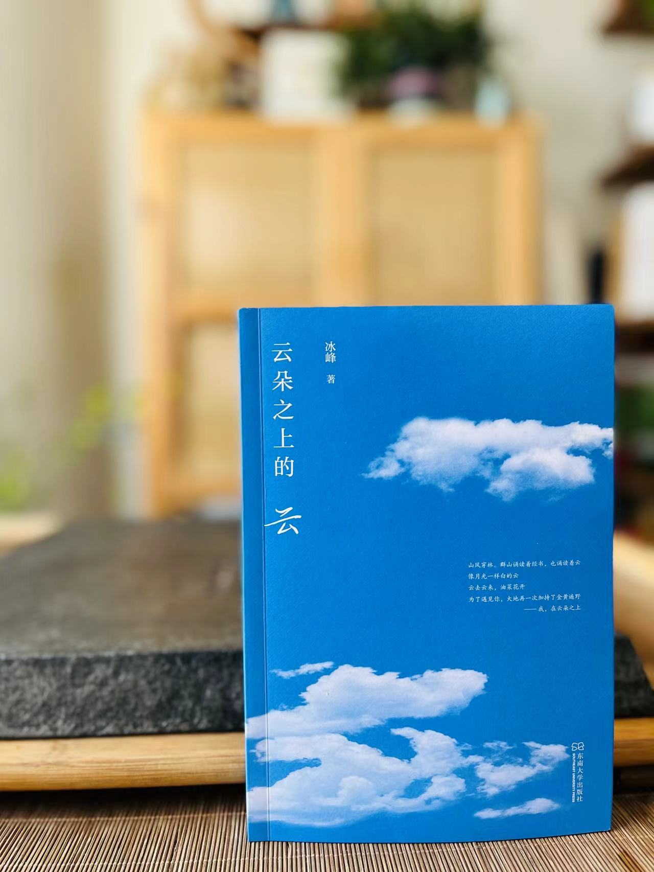《云朵之上的云》，东南大学出版社出版，2023年3月