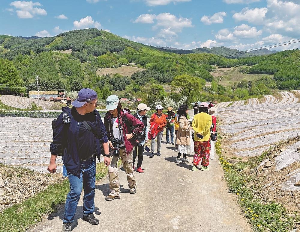 松岭四季分明，风景如画，吸引众多游人来此赏花观景。 连承灏 摄