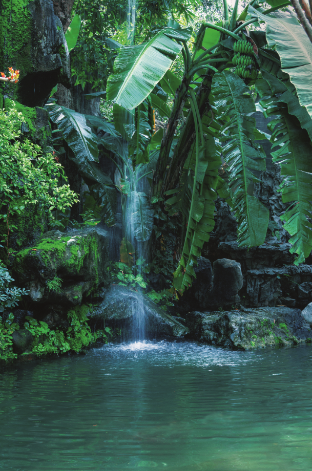 ▲ 图为顺德清晖园。作为“岭南水乡”的顺德，处处都有水的身影。 供图／视觉中国