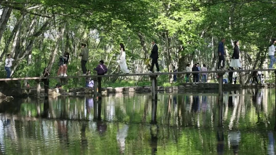 黄山：“五微行动”畅连和美乡村