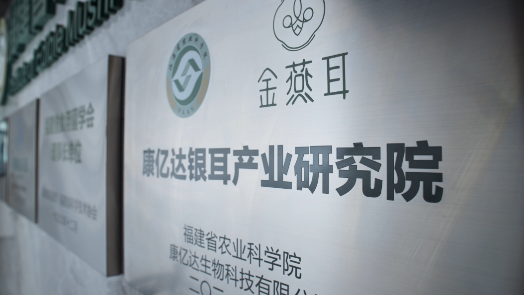 点击查看原始图片