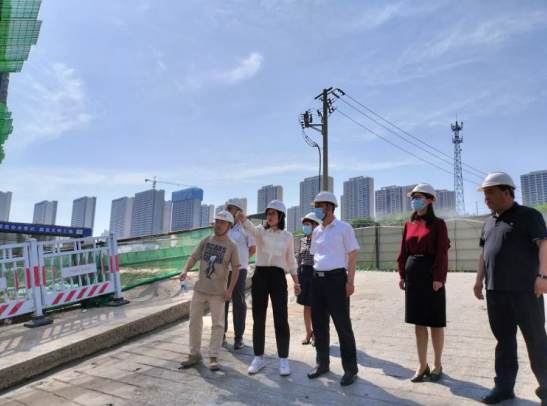 秦都区委书记景雪峰检查大气污染防治工作
