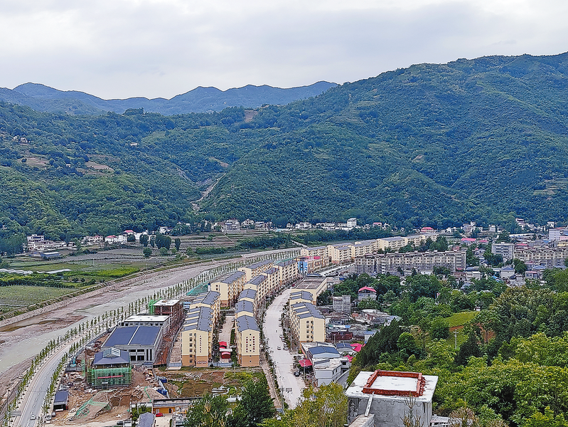 山阳县户家塬镇桃园村里茶飘香