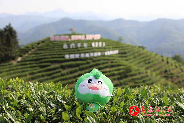 豦517գƽؽƺ