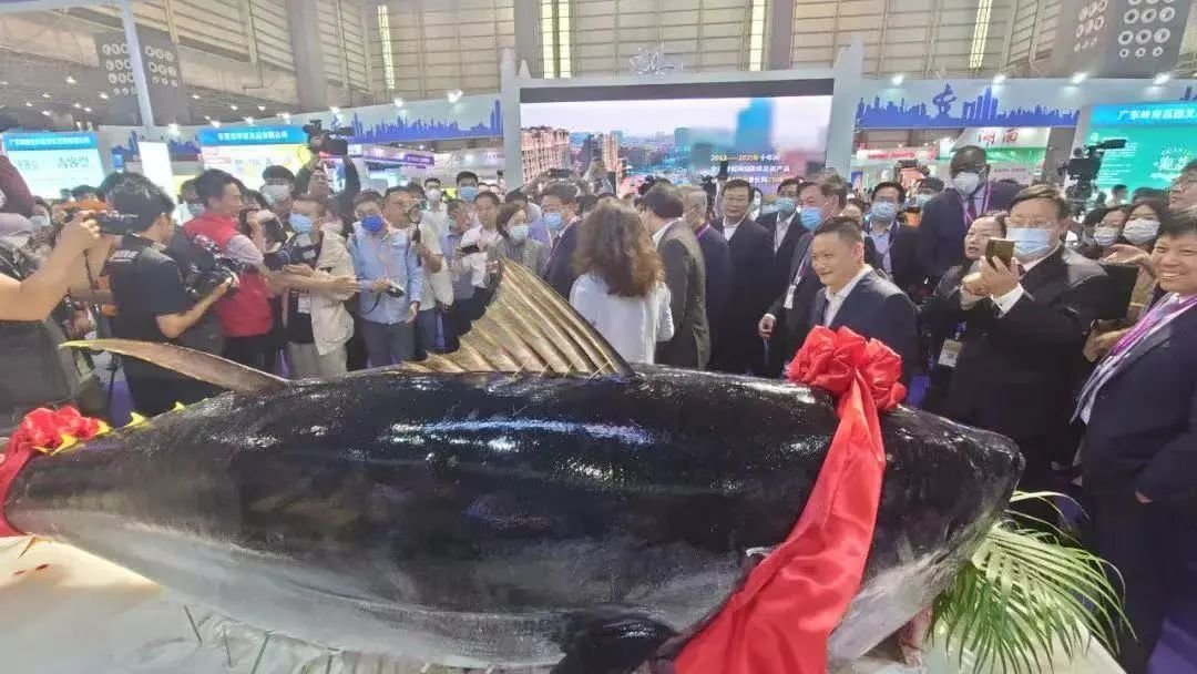 食博会·预博会