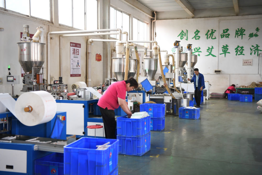 5月5日，工人在南阳市卧龙区药益宝艾草制品有限公司生产车间忙碌。新华社记者 张浩然 摄
