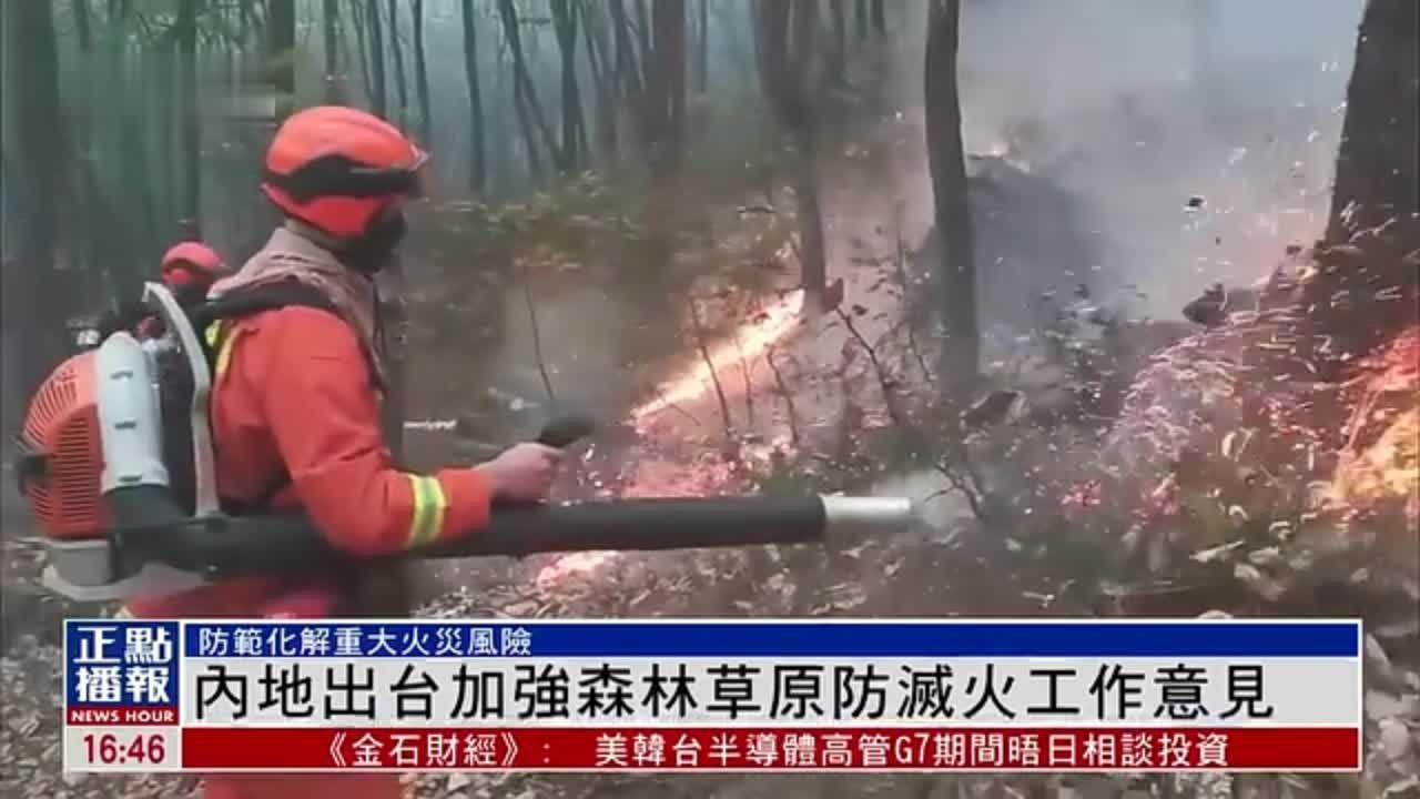 内地出台加强森林草原防灭火工作意见