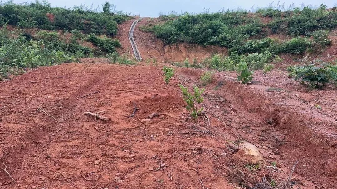 (挖到炮弹位置)