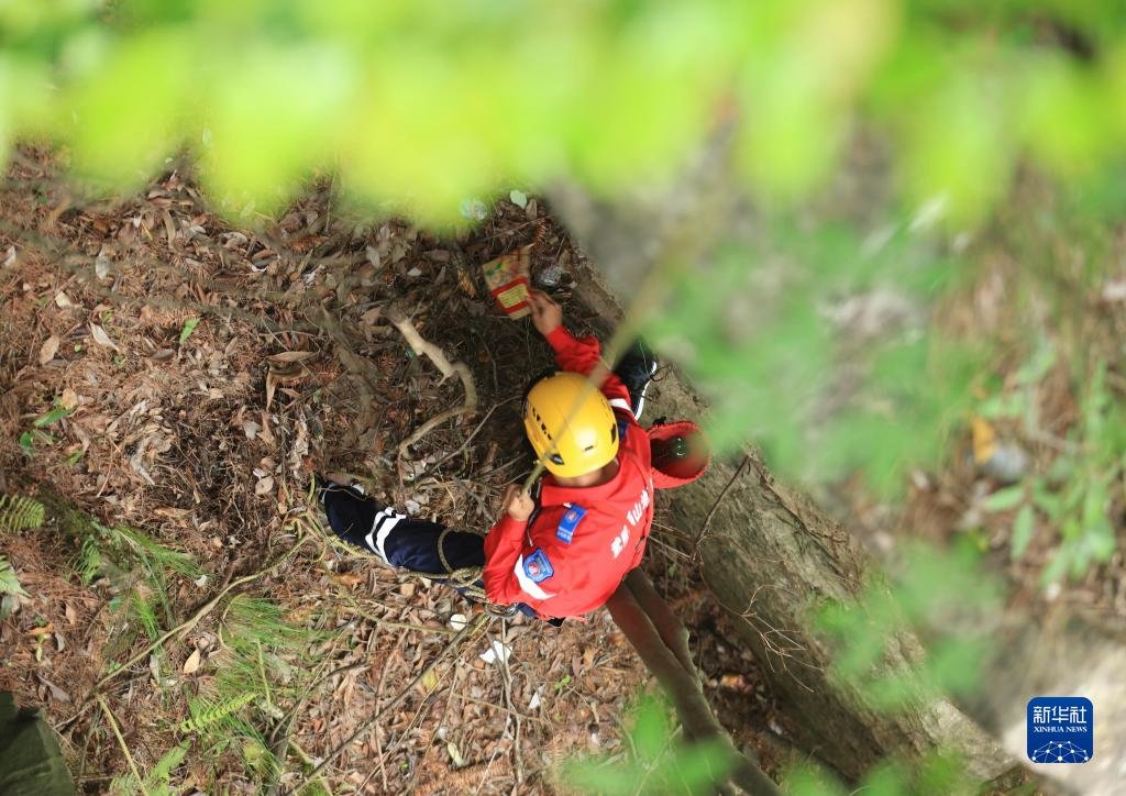 5月14日，张家界市武陵源区山地应急救援队队员在丛林中捡拾垃圾。