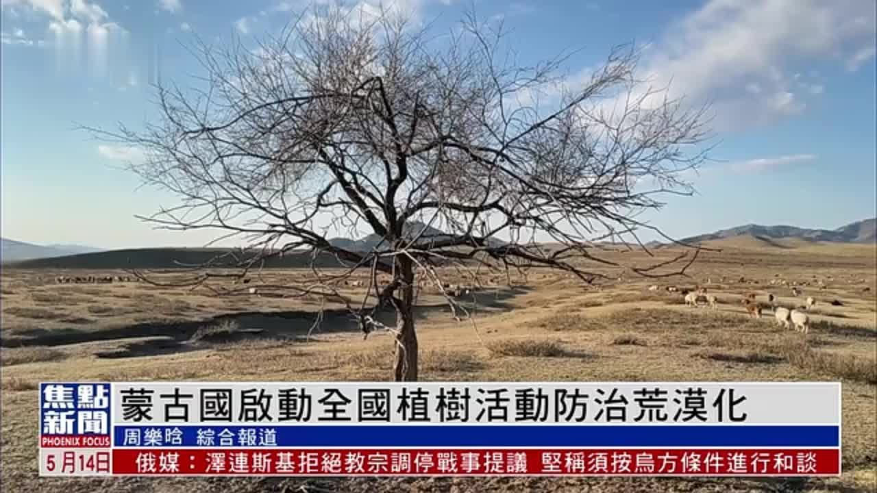 蒙古国启动全国植树活动防治荒漠化